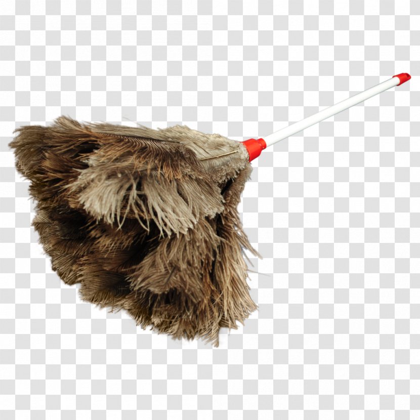 Snout Fur - Ostrich Transparent PNG