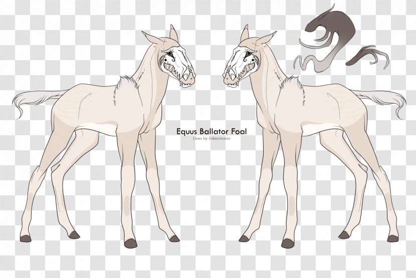 Horse Reindeer Antelope Cattle Fauna - Mammal Transparent PNG