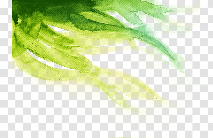 Green Watercolor Painting Illustration - Chartreuse - Water Chalk Brush Transparent PNG