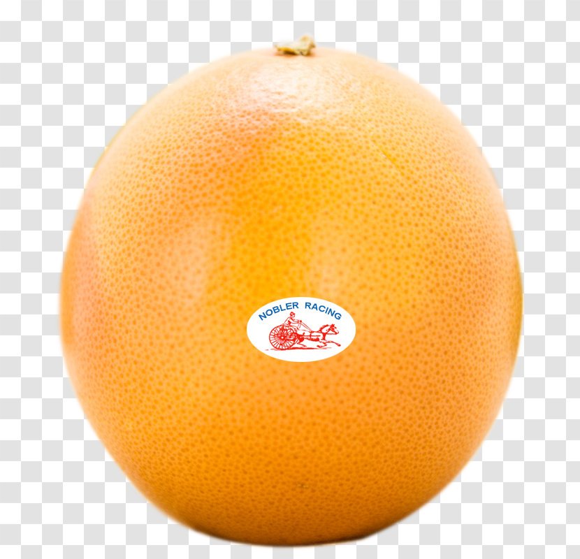 Clementine Grapefruit Tangerine Orange Pomelo - Fruit - HD Close-up Transparent PNG