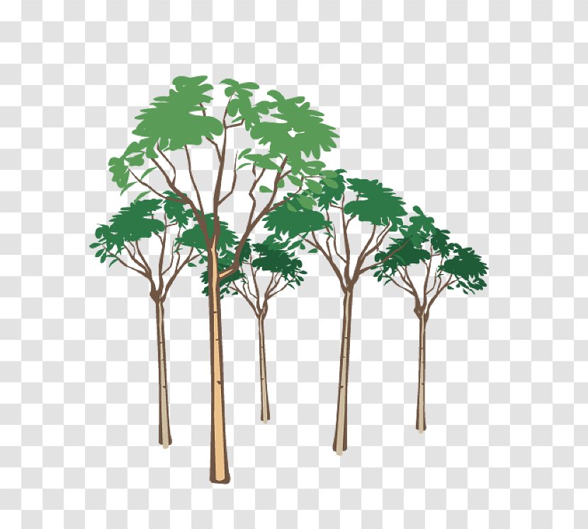Hill Clip Art - Can Stock Photo - Plant Transparent PNG