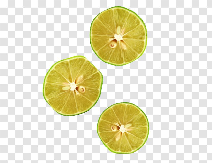 Key Lime Lemon Transparent PNG