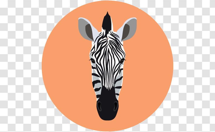 Quagga Zebra - Royaltyfree Transparent PNG
