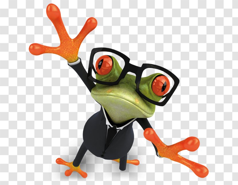 Tree Frog True System Technology Transparent PNG