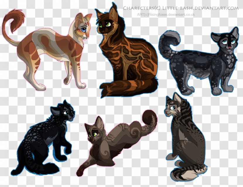 Kitten Munchkin Cat DeviantArt Felidae Animal - Drawing Transparent PNG