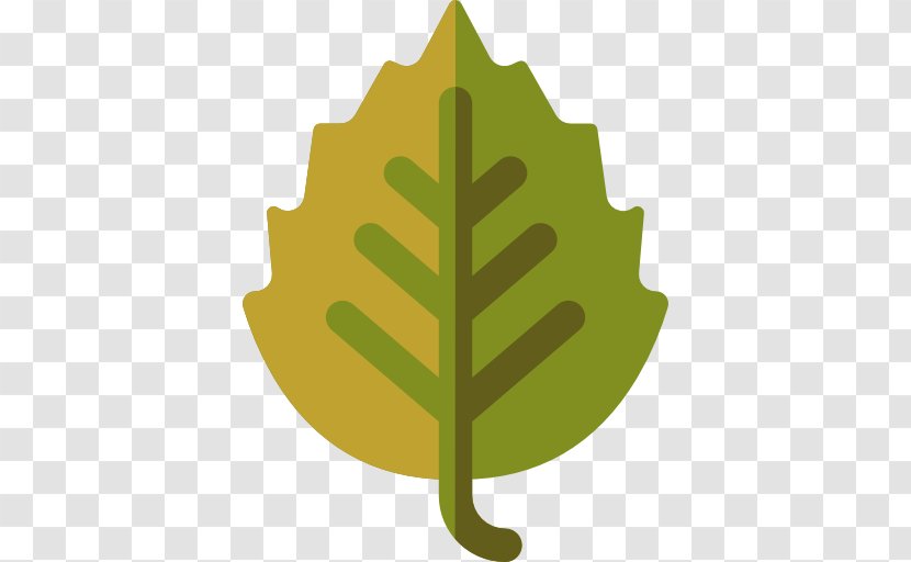 Green Design Illustration - Woody Plant - Birch Icon Transparent PNG
