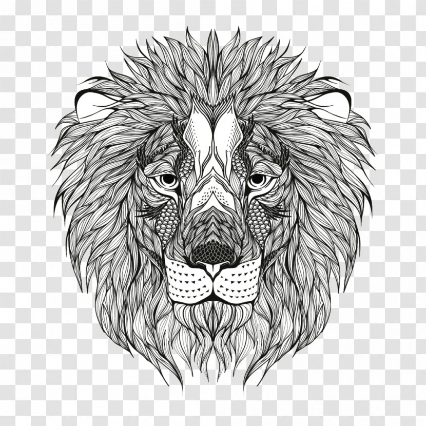 Lion Coloring Book Image Adult Drawing Transparent PNG