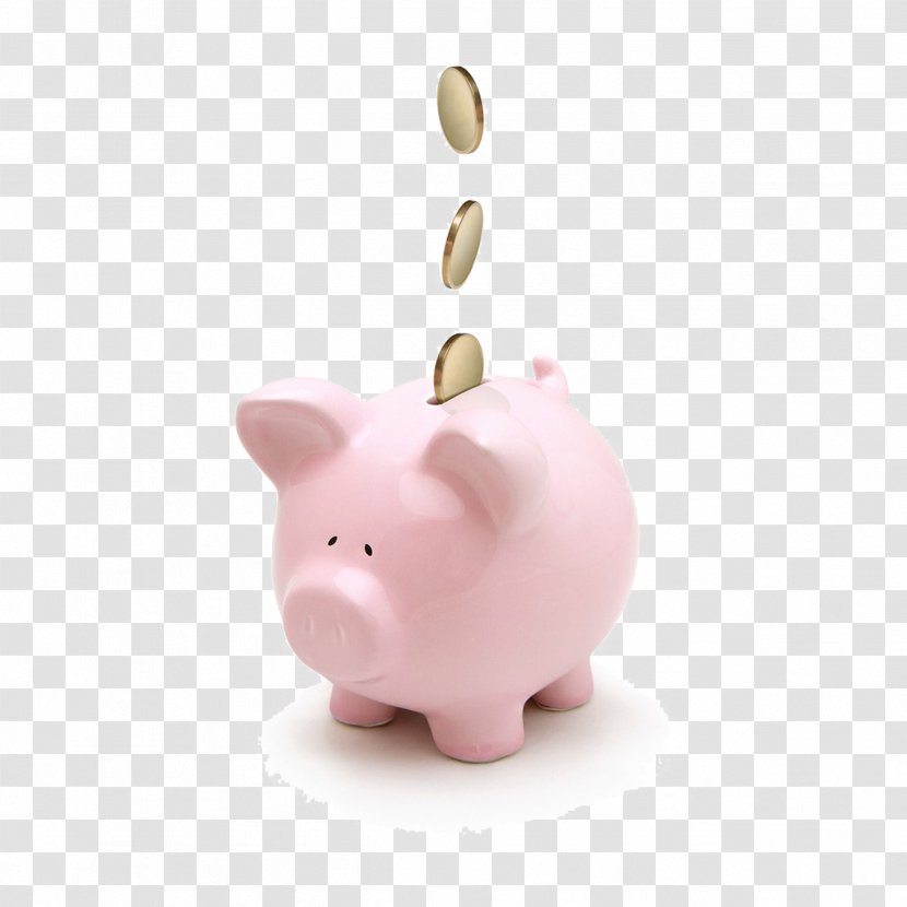 Saving Money Piggy Bank Coin Finance - Snout - Pink Pig Transparent PNG