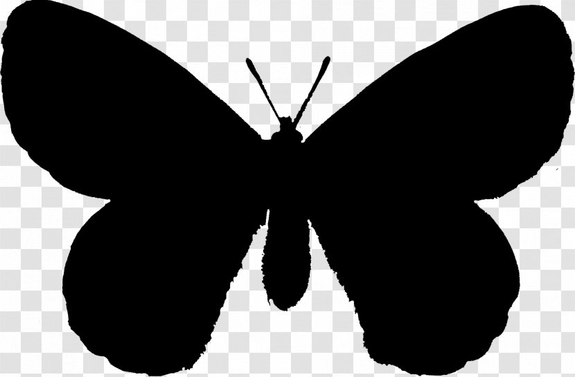 Brush-footed Butterflies Stencil Drawing Lepidoptera Moth - Insect - Wing Transparent PNG