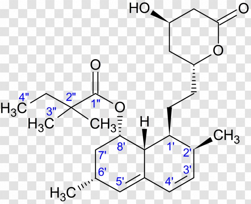 Simvastatin/sitagliptin Lipid-lowering Agent Ezetimibe / Simvastatin - Silhouette - Piran Transparent PNG
