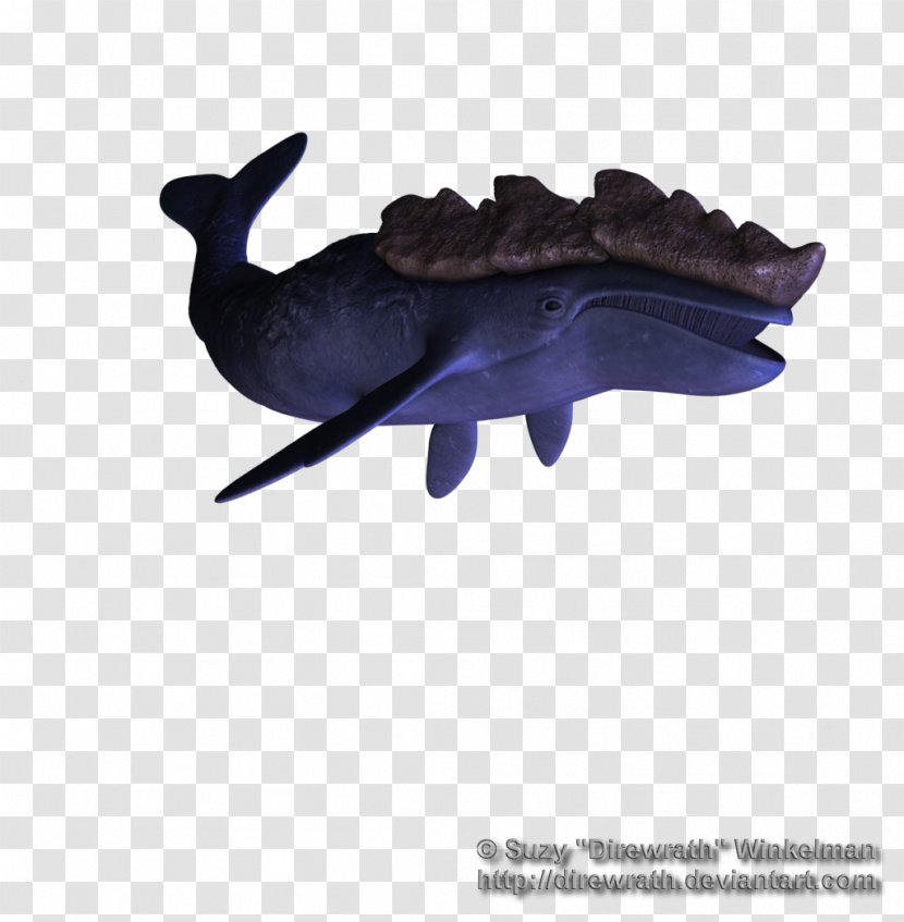 Sea Lion Marine Mammal Whale Dolphin Transparent PNG