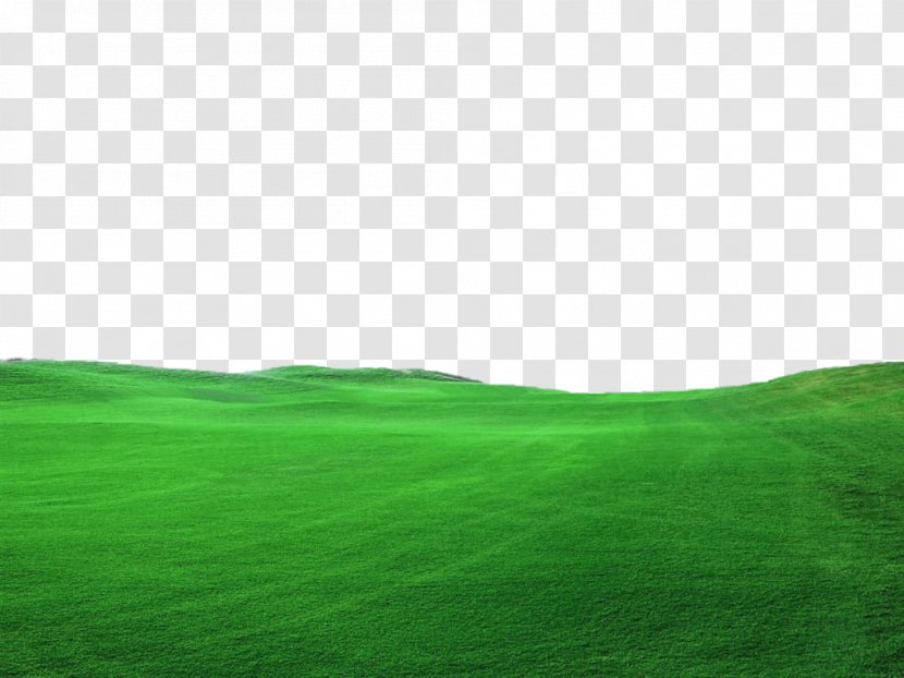 Lawn Green Grassland Landscape Wallpaper - Grass Decoration Borders Transparent PNG