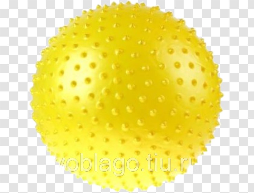Ball Sphere Pollen Fruit Transparent PNG