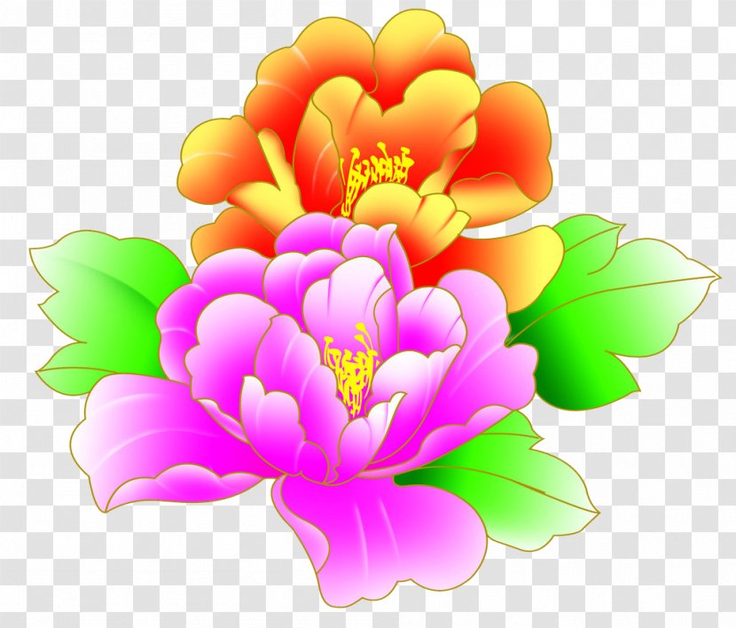 Moutan Peony Yellow Red - Flower Transparent PNG