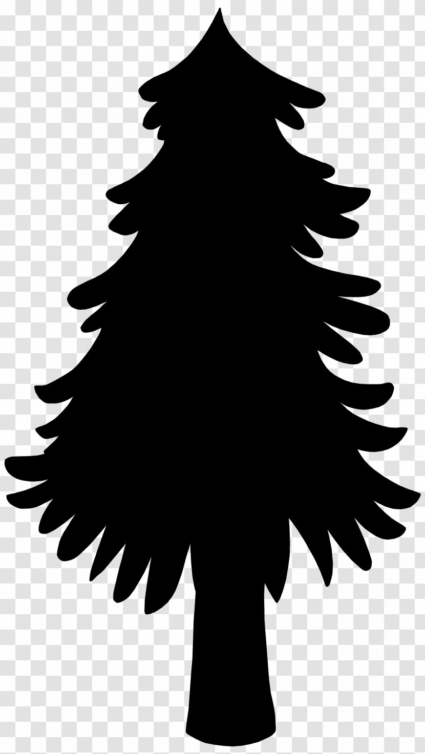 Fir Christmas Tree Spruce Day - Woody Plant - Pine Transparent PNG