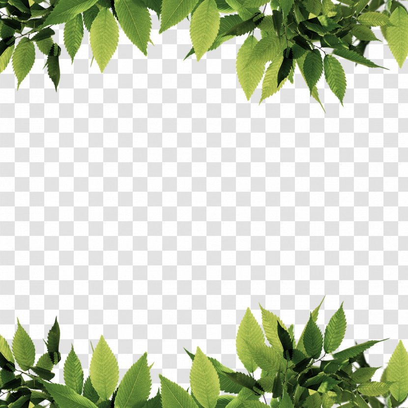 Green Leaf Computer File - Resource - Leaves Border Transparent PNG