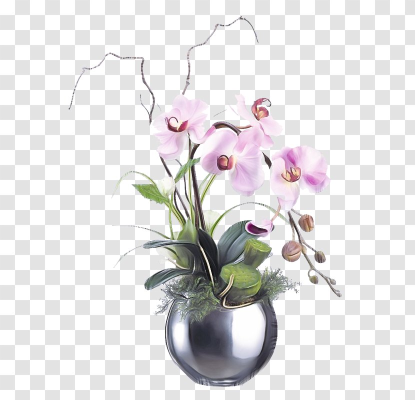 Flower Flowering Plant Moth Orchid Flowerpot - Terrestrial Transparent PNG