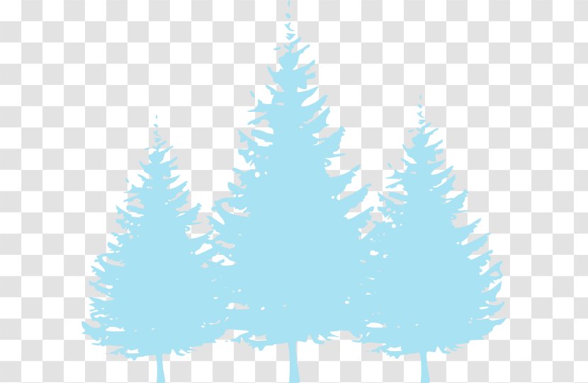 Pine Evergreen Tree Spruce - Silhouette Transparent PNG