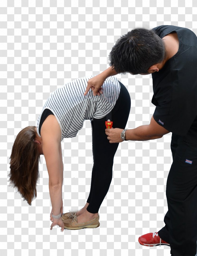 Shoulder Human Behavior Hip Knee - Rehabilitation Center Transparent PNG