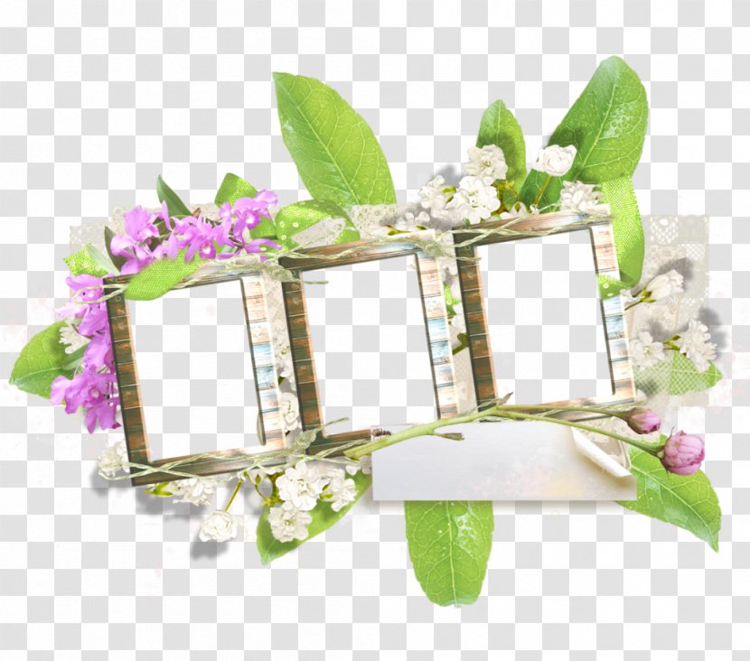 Floral Design Picture Frames - Floristry Transparent PNG