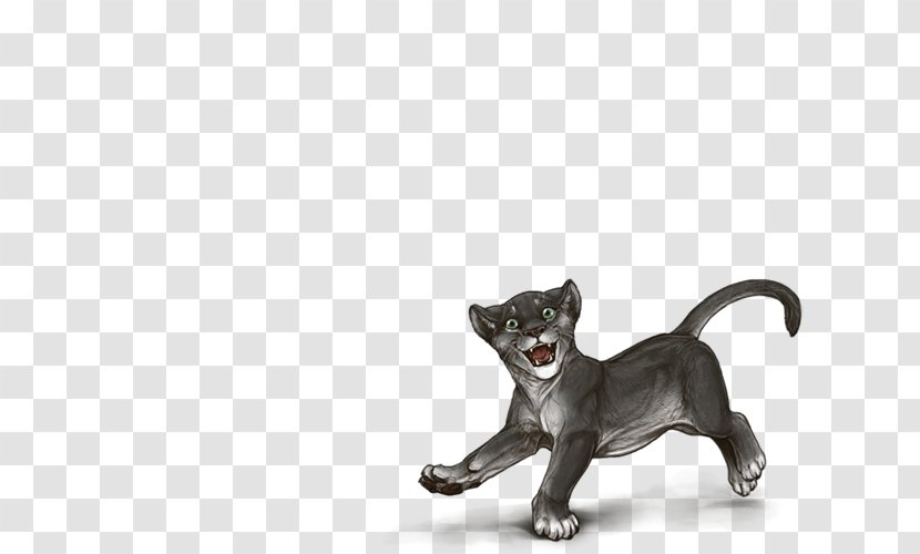 Whiskers Puppy Dog Breed Cat - Like Mammal Transparent PNG