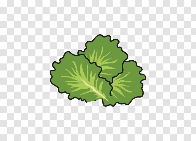 Leaf Vegetable Tree - Green Transparent PNG