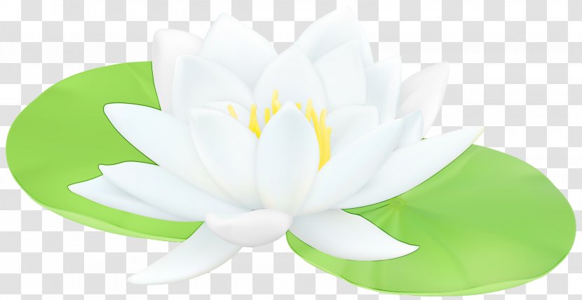 Lotus - Sacred - Yellow Transparent PNG