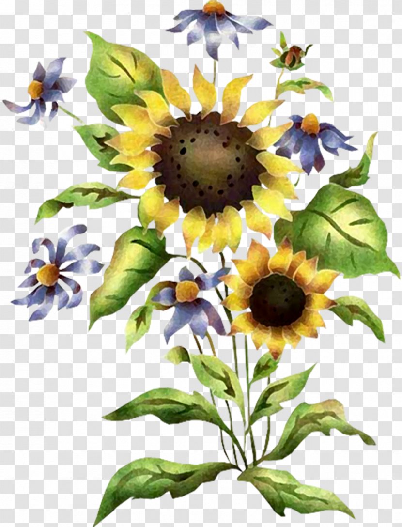 Stencil Common Sunflower - Sunflowers Transparent PNG