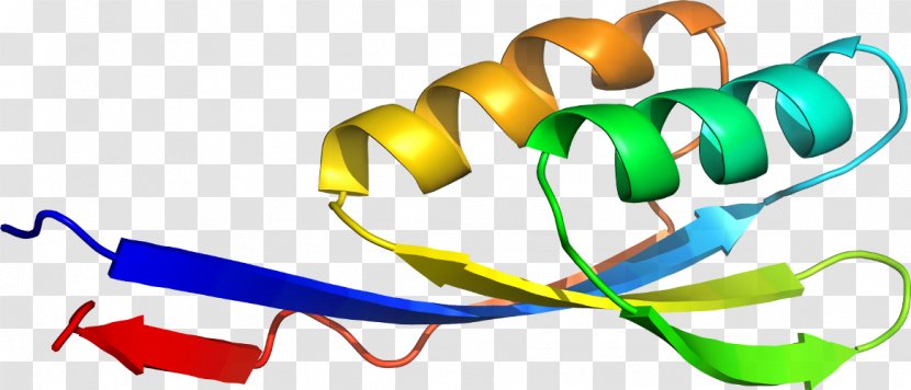 Organism Clip Art - Acetolactate Synthase Transparent PNG