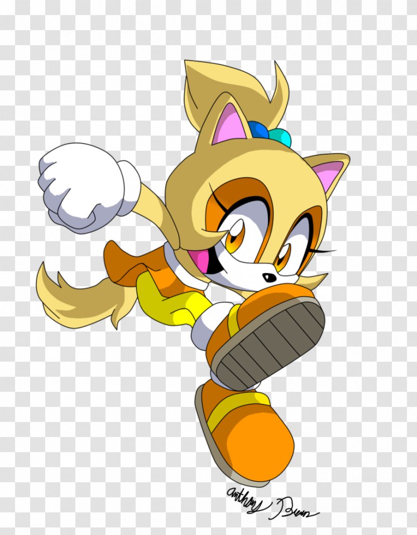 Cat Tails Cream The Rabbit Sonic Adventure 2 CD - Hedgehog - Cute Raccoon Transparent PNG