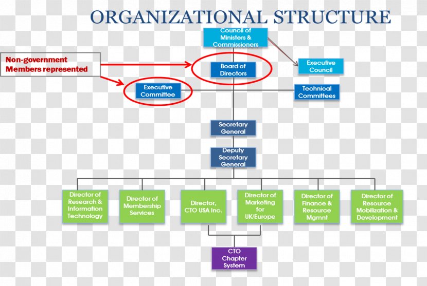 Organizational Chart Board Of Directors Management Chief Technology Officer - Diagram - Dotted Line Transparent PNG