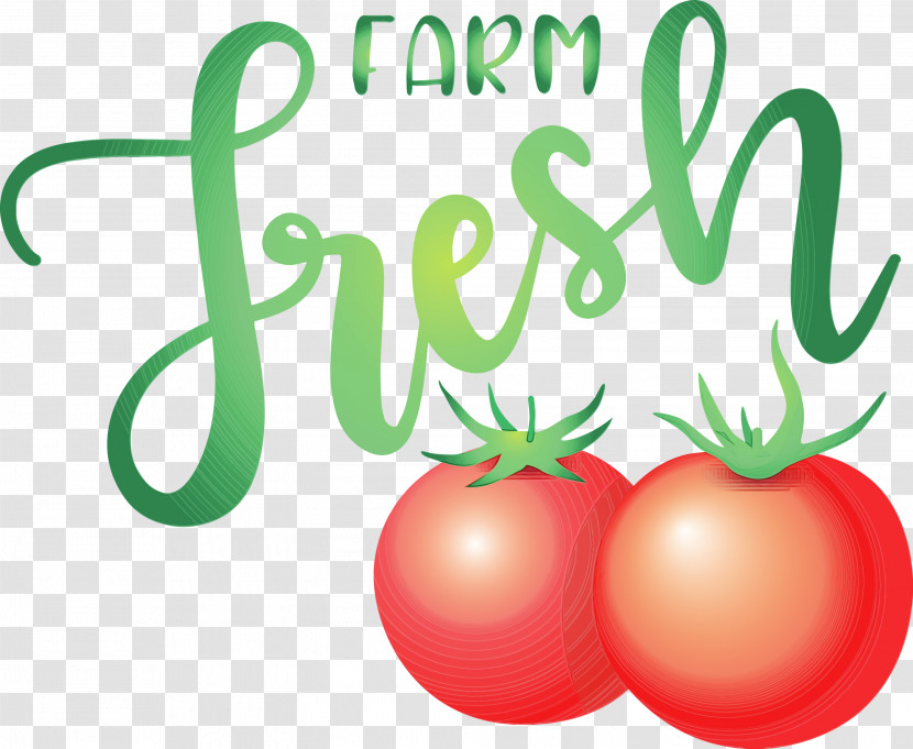 Tomato Transparent PNG