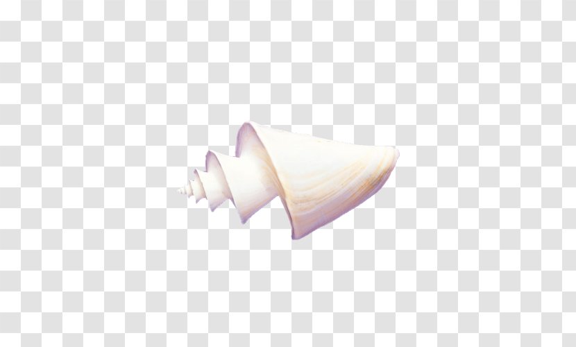 Seafood Conch - Heart Transparent PNG