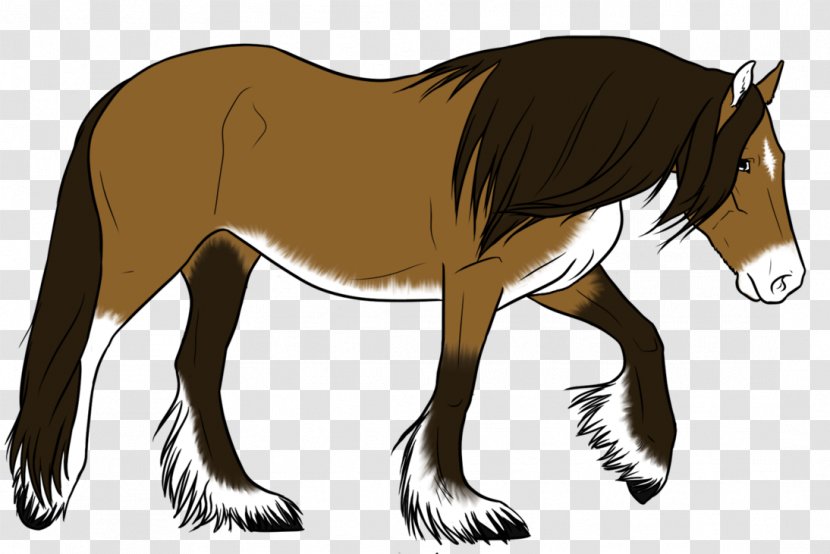 Mule Mane Foal Mare Mustang - Horse - Read Below Horses Transparent PNG