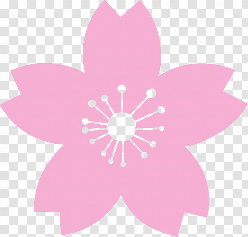 Cherry Flower Floral Flower Transparent PNG