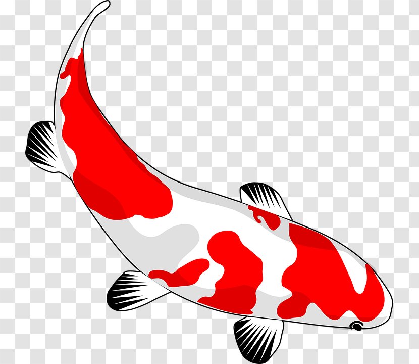 Koi Drawing Clip Art - Seafood Transparent PNG