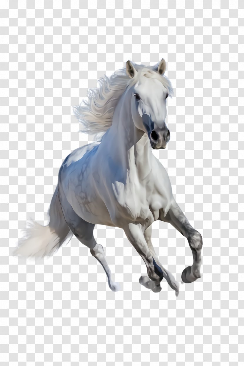 Horse Animal Figure Stallion Mustang Mane - Sorrel Pony Transparent PNG