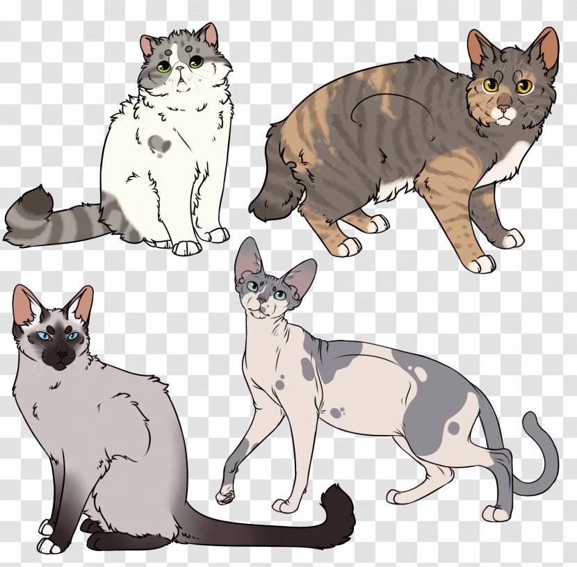 Kitten Whiskers Manx Cat Ragdoll Domestic Short-haired - Cinderpelt Transparent PNG