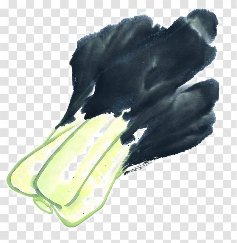 Ink Wash Painting U5199u610fu753b - Cabbage Transparent PNG