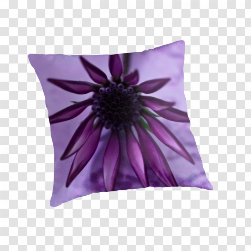 Purple Violet Cushion Throw Pillows Lilac - Gazania Transparent PNG