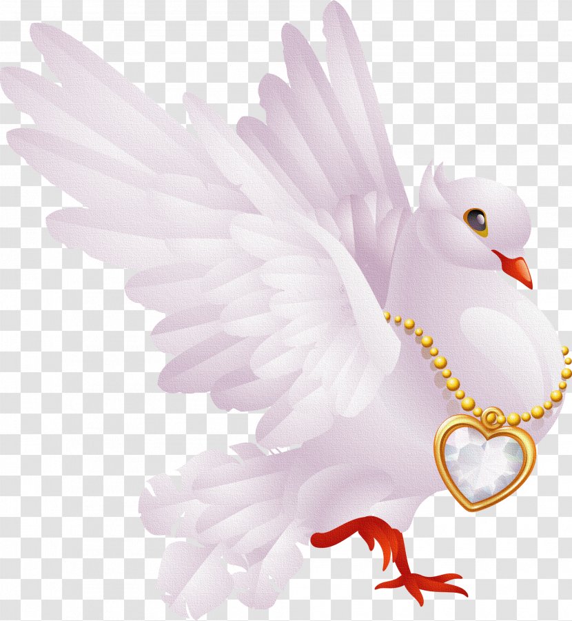 Valentine's Day Lupercalia Greeting & Note Cards Clip Art - Feather Transparent PNG