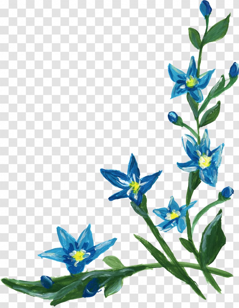 Flower Clip Art - Information - Blue Border Transparent PNG