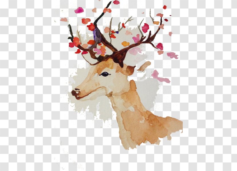 Reindeer Red Deer Antler Illustration - Paint - Painted Transparent PNG