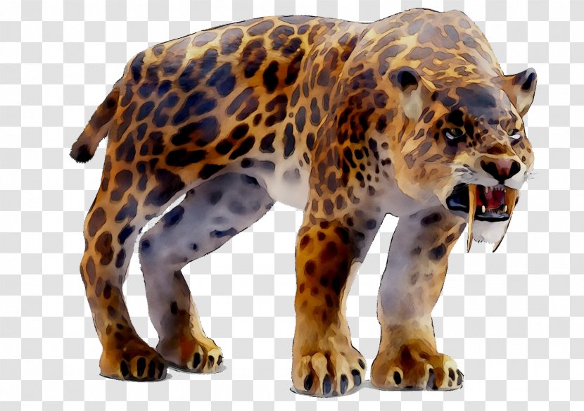 Jaguar Leopard Tiger Cheetah Machairodontinae - Narrative Transparent PNG