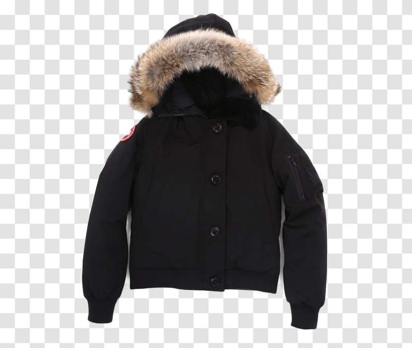 Canada Goose Parka Coat Flight Jacket - Hoodie Transparent PNG