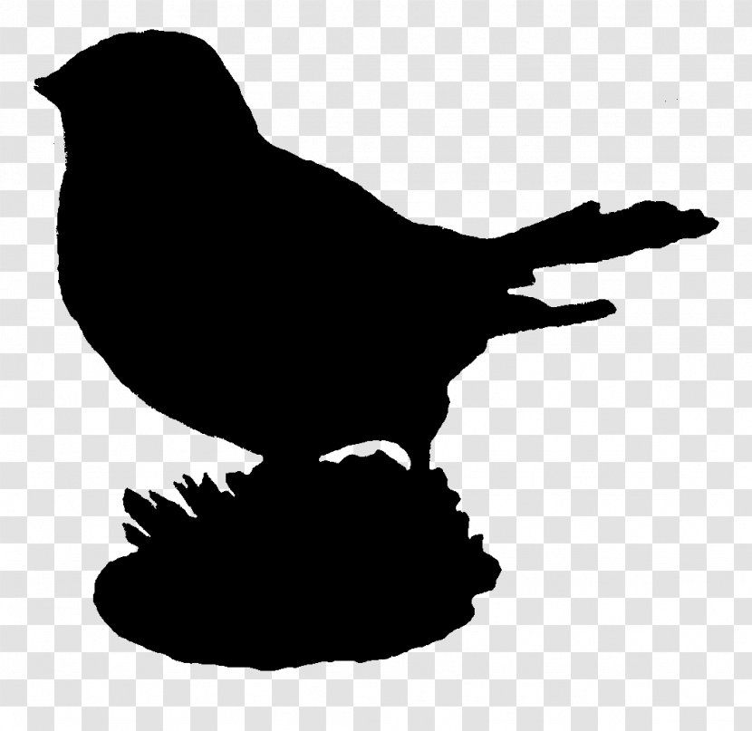 Beak Fauna Silhouette Font - Perching Bird Transparent PNG