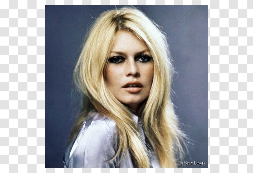 Brigitte Bardot Contempt Photography Photographer Actor - Silhouette - Rita Ora Transparent PNG