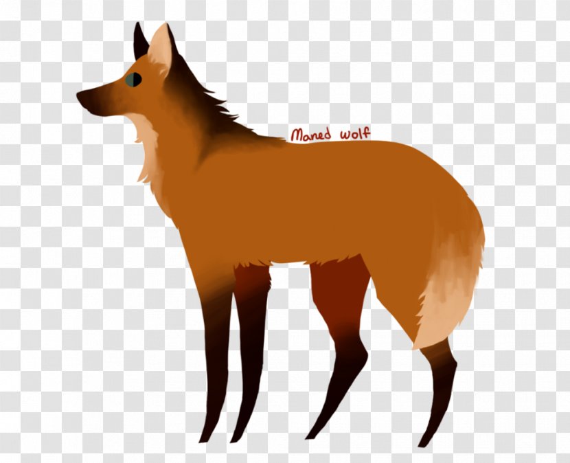 Red Fox Dog Breed Snout - Like Mammal Transparent PNG