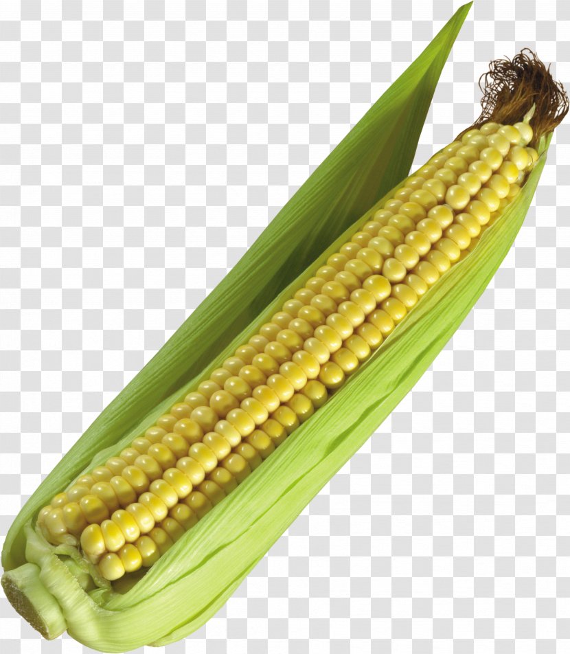Corn On The Cob Maize Icon - Vegetable - Image Transparent PNG