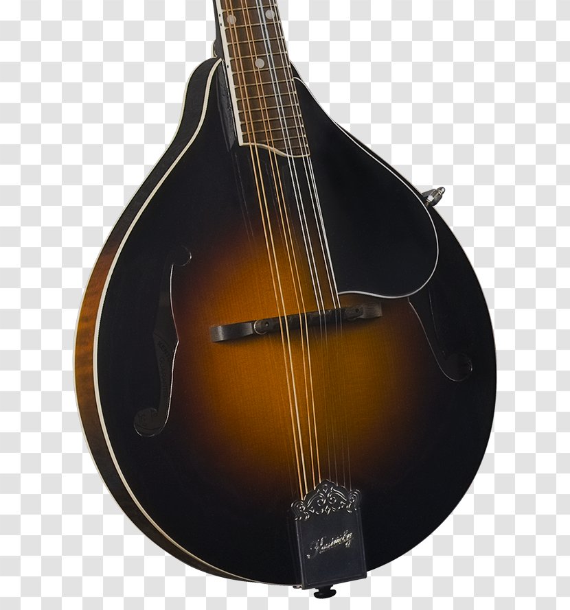 Bass Guitar Mandolin Cuatro Acoustic Acoustic-electric - Tree Transparent PNG